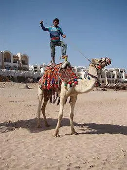 Melia Sharm Resort And Spa-1